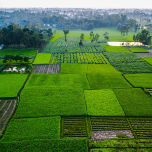 1 Bigha Industrial Land – Dhanmondi Industrial Belt