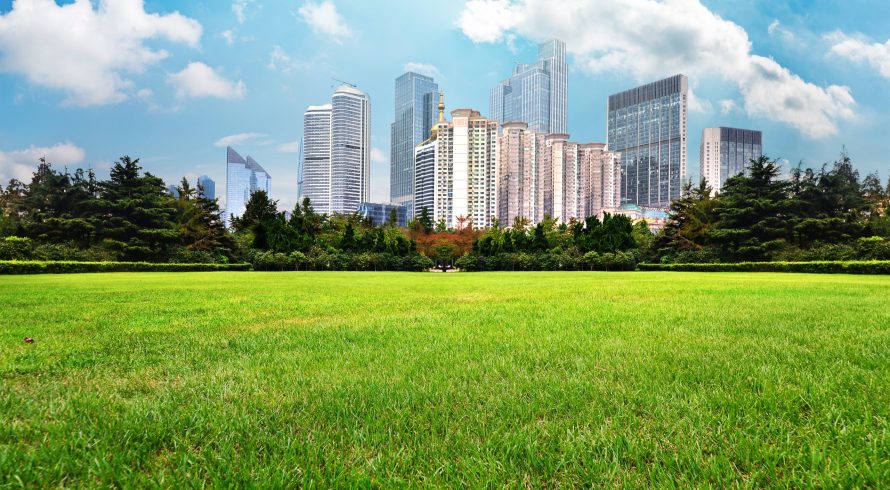 building-view-from-field